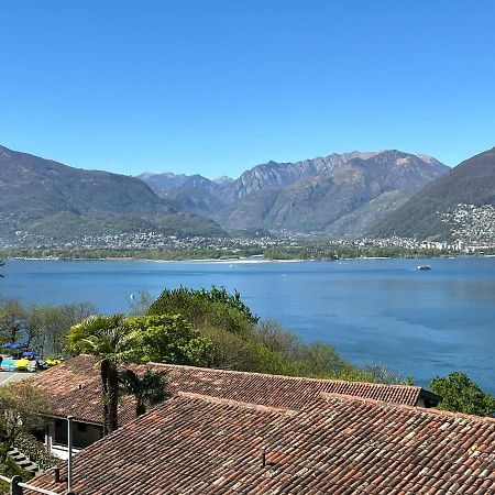 1 Zimmer Apartment Mit Seesicht Und Pool Gambarogno Eksteriør bilde
