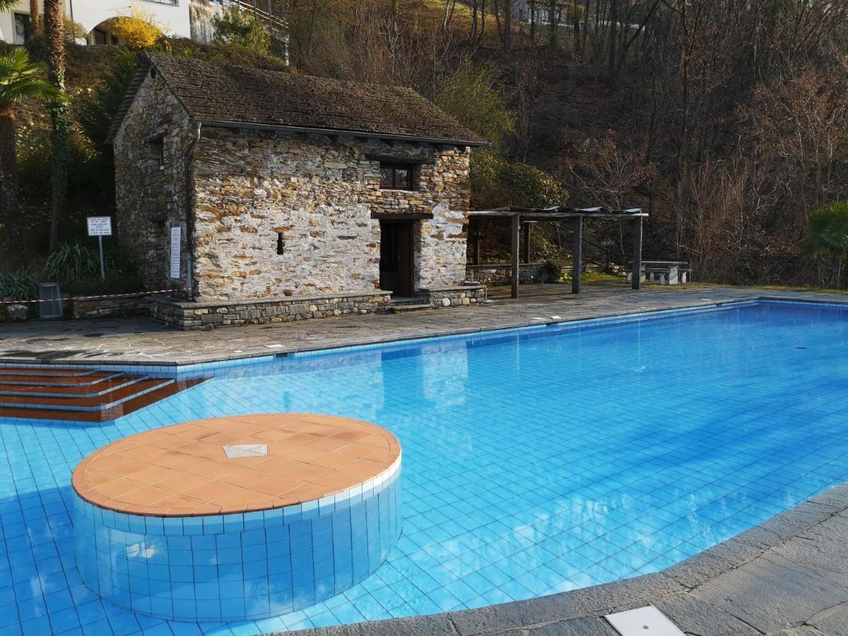 1 Zimmer Apartment Mit Seesicht Und Pool Gambarogno Eksteriør bilde