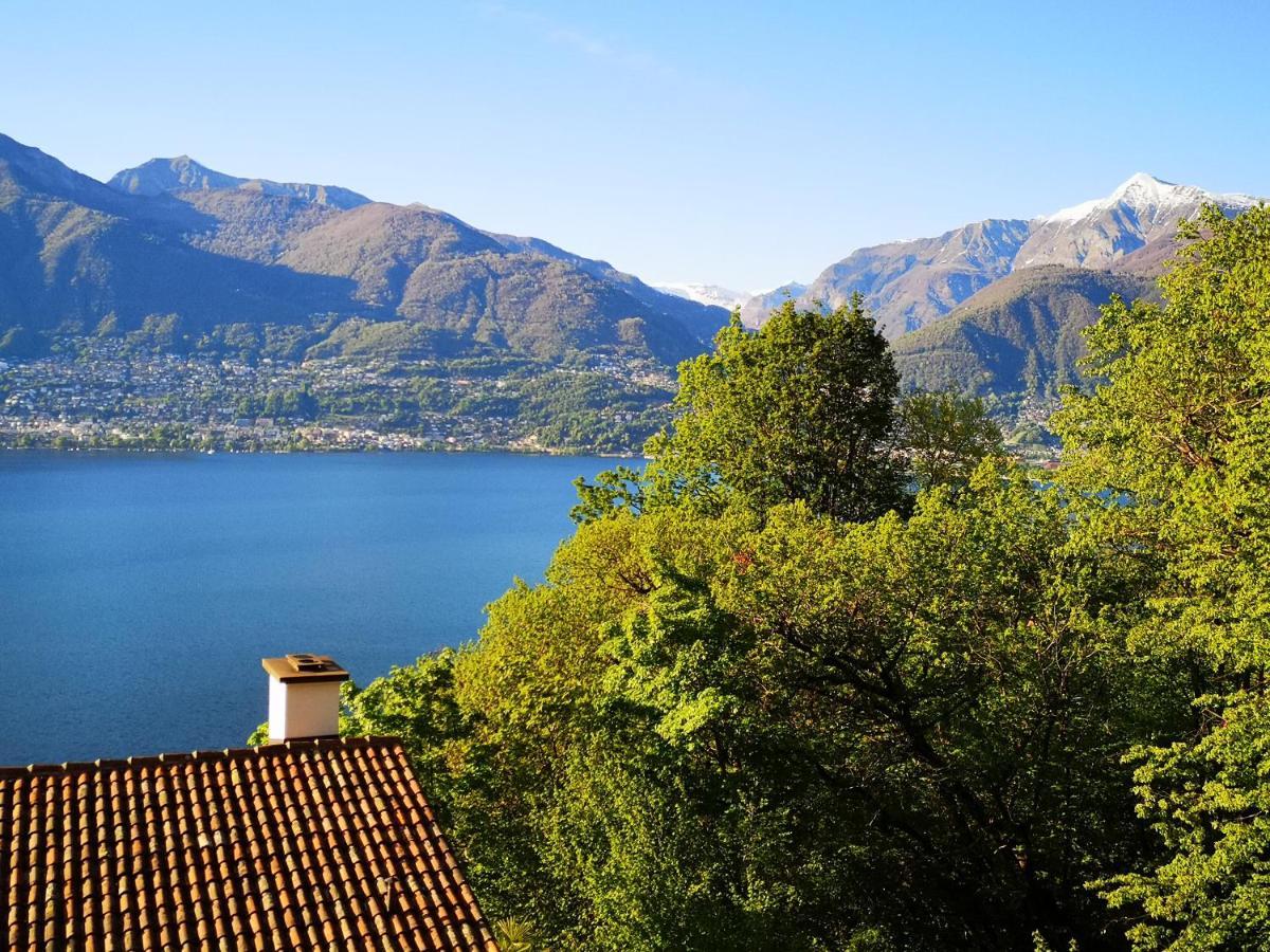 1 Zimmer Apartment Mit Seesicht Und Pool Gambarogno Eksteriør bilde