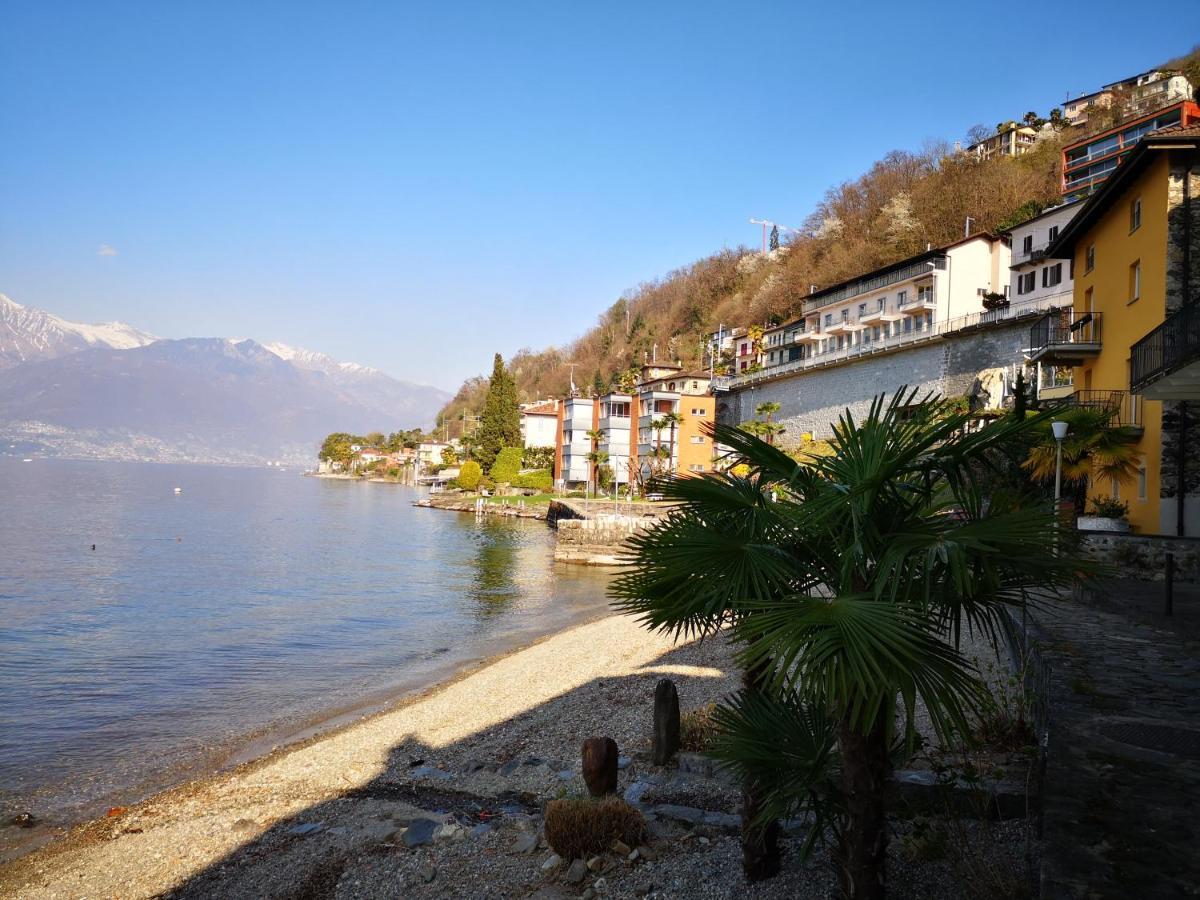 1 Zimmer Apartment Mit Seesicht Und Pool Gambarogno Eksteriør bilde