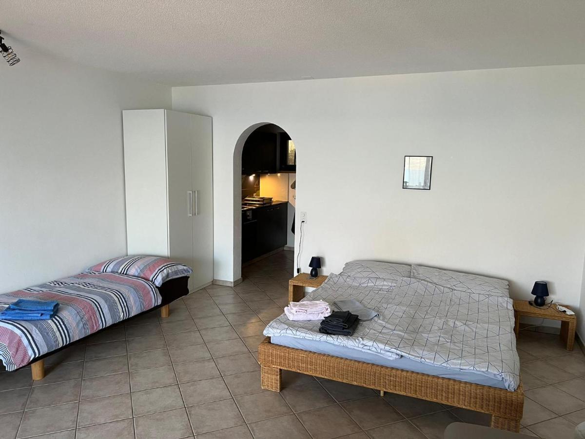 1 Zimmer Apartment Mit Seesicht Und Pool Gambarogno Eksteriør bilde